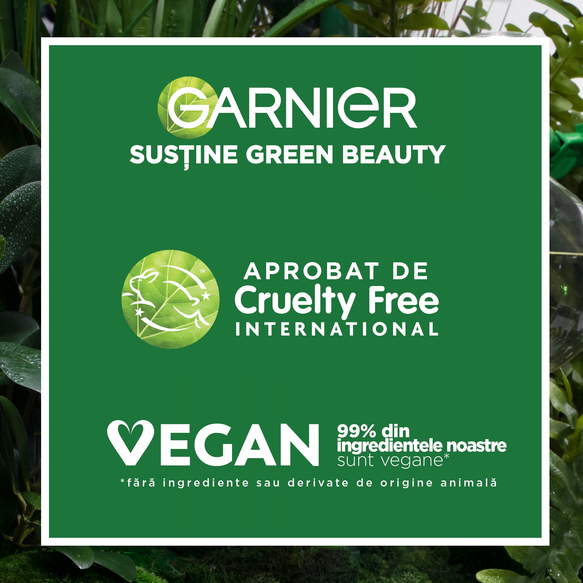 Hydra Bomb Sheet Mask Sakura