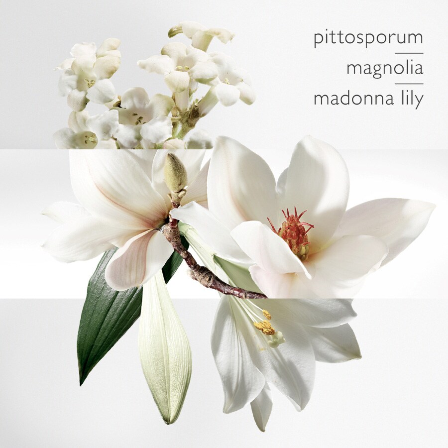 UN JARDIN SUR LA LAGUNE EAU DE TOILETTE