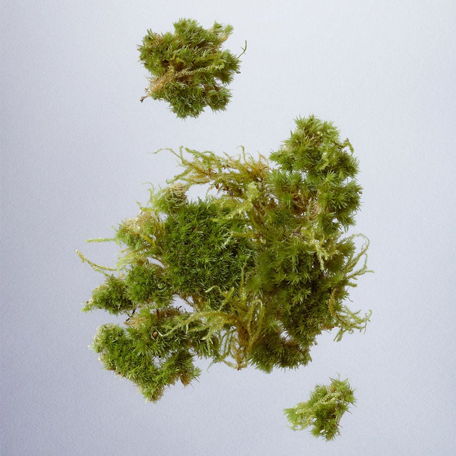 Once Upon A Garden Eau de Parfum