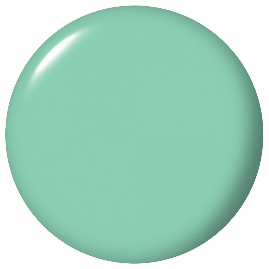 RapidDry Nail Lacquer