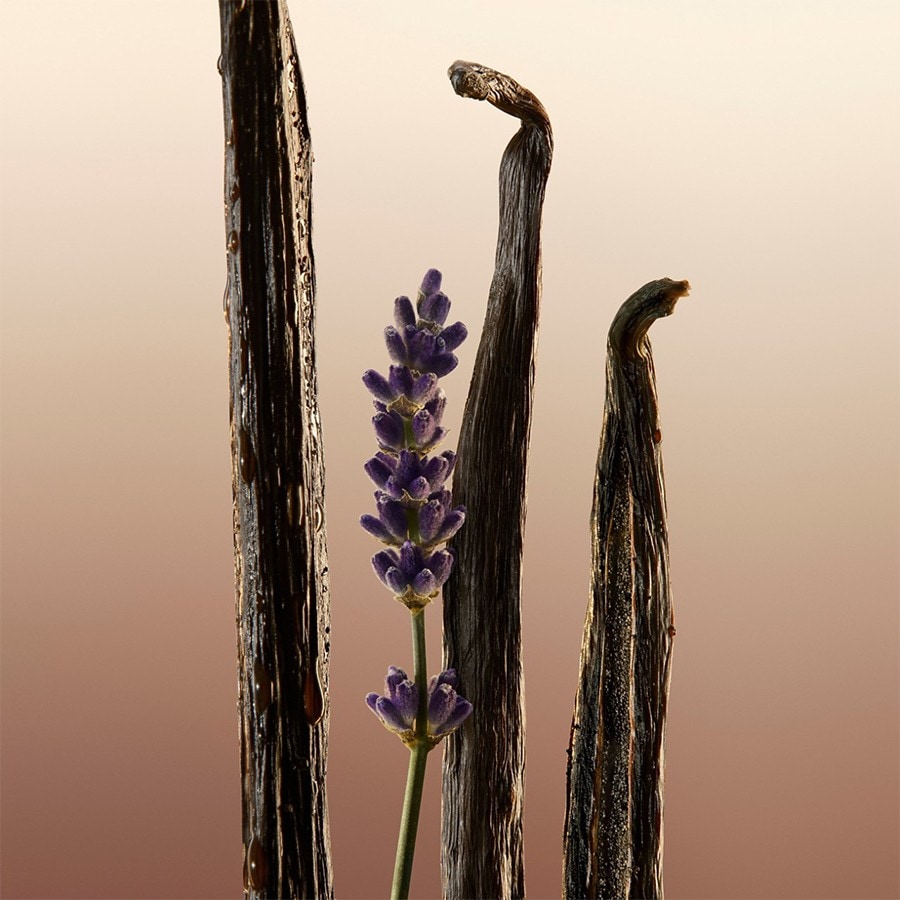 Burberry Goddess Eau de Parfum