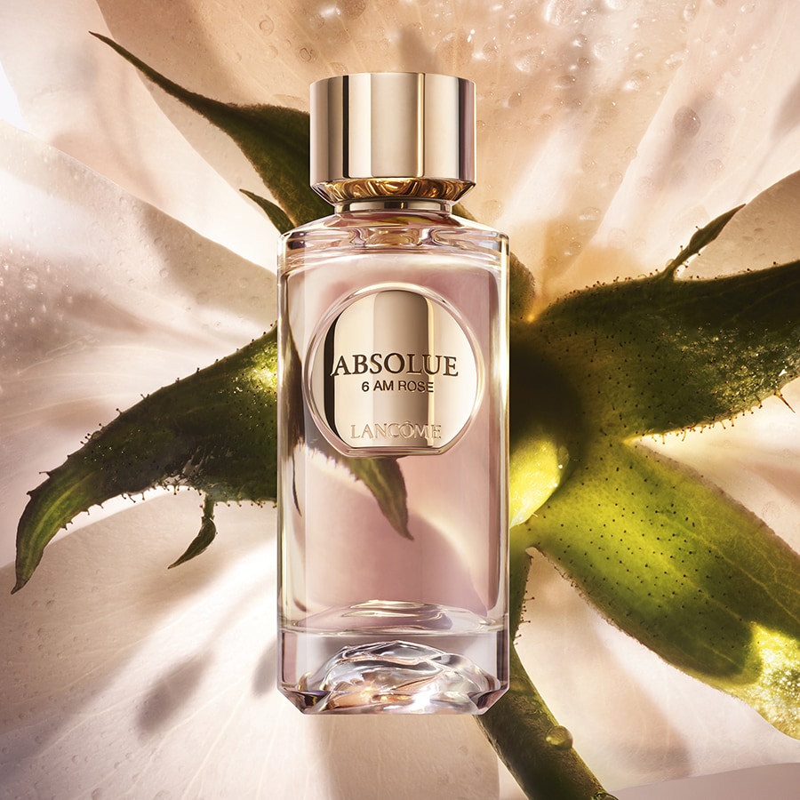 Absolue  6 Am Rose Eau de Parfum