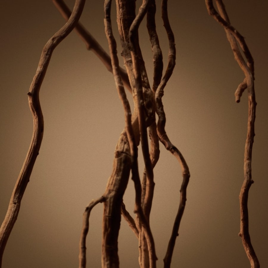 Bottled Eau de Parfum