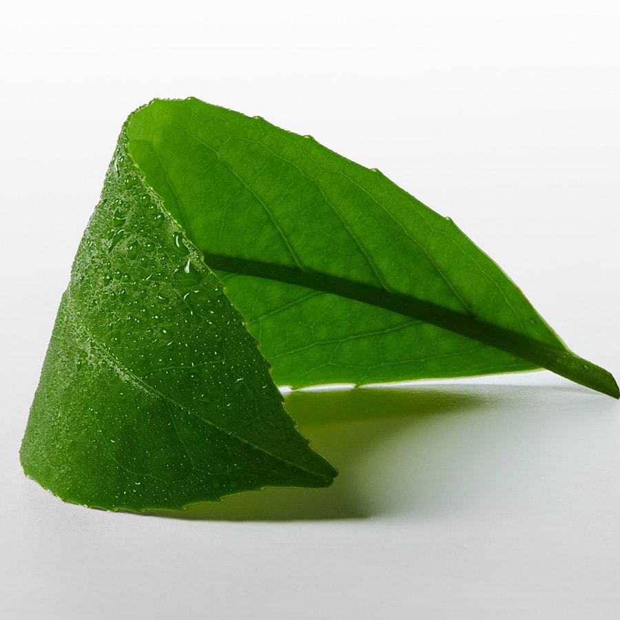 Ck one essence Intense Parfum