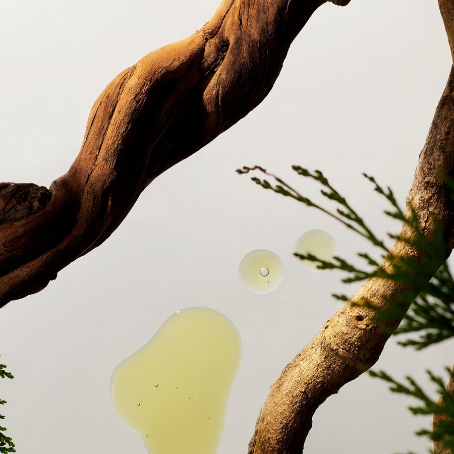 Homme Strengthening Caffeine Shampoo