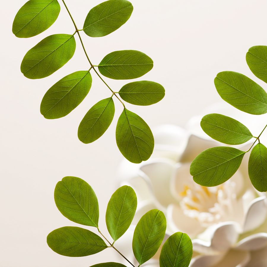 The Ritual of Namaste Purify Velvety Smooth