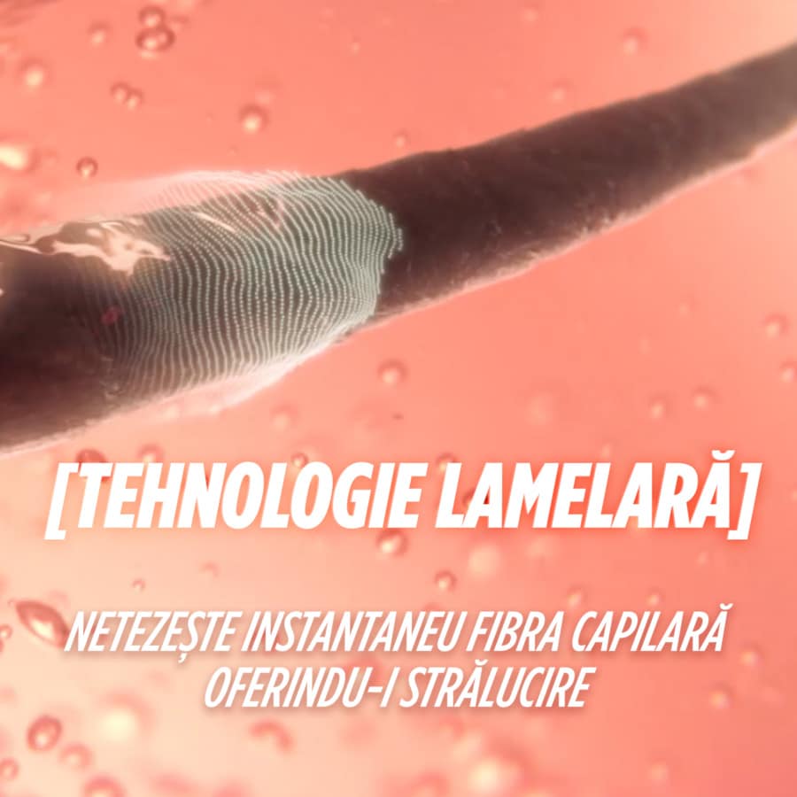 Fructis Hair Food Ananas