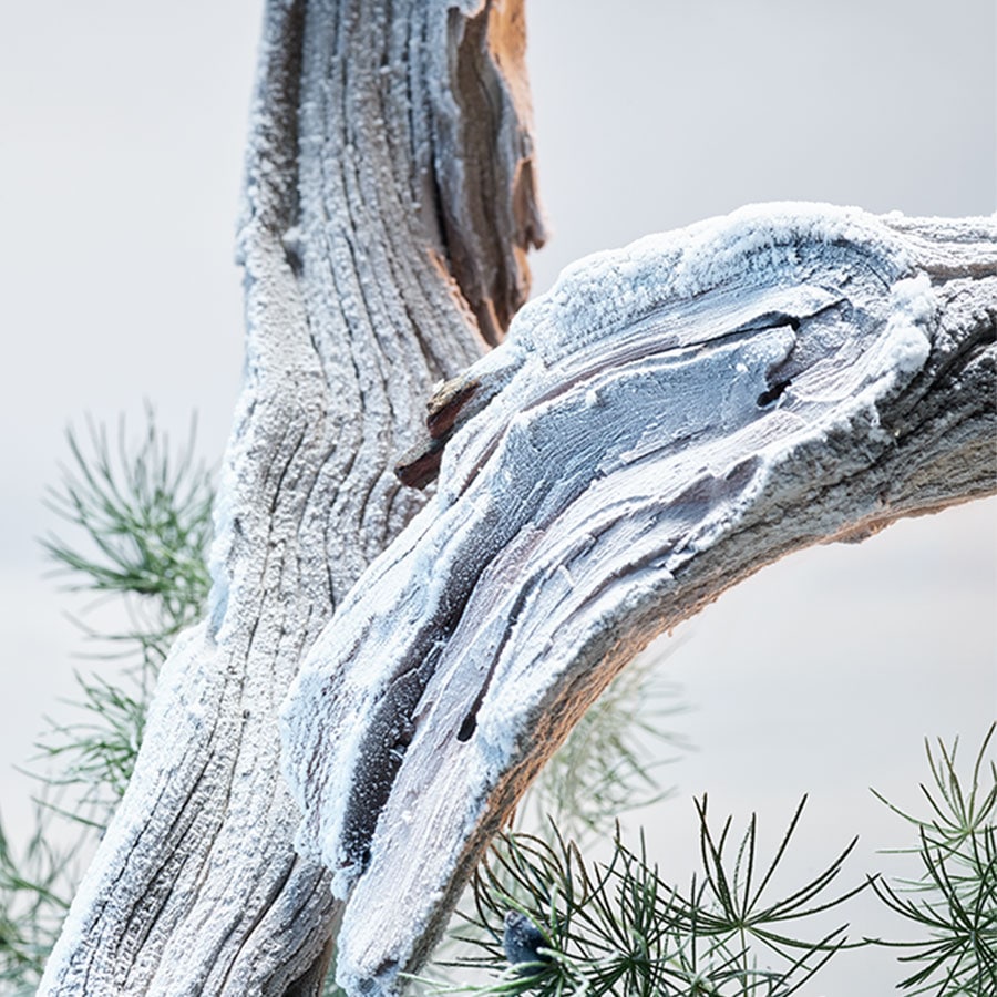 Man Glacial Essence Eau de Parfum