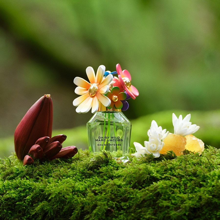Daisy Wild Eau So Intense