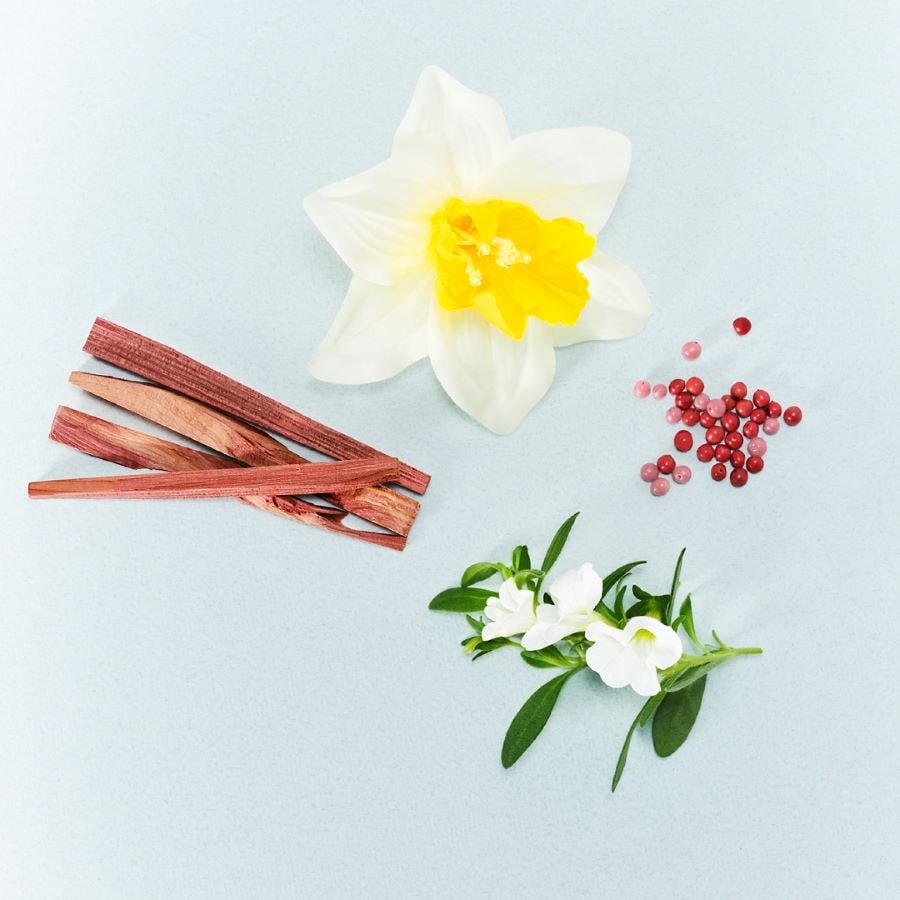 Perfect Eau de Toilette