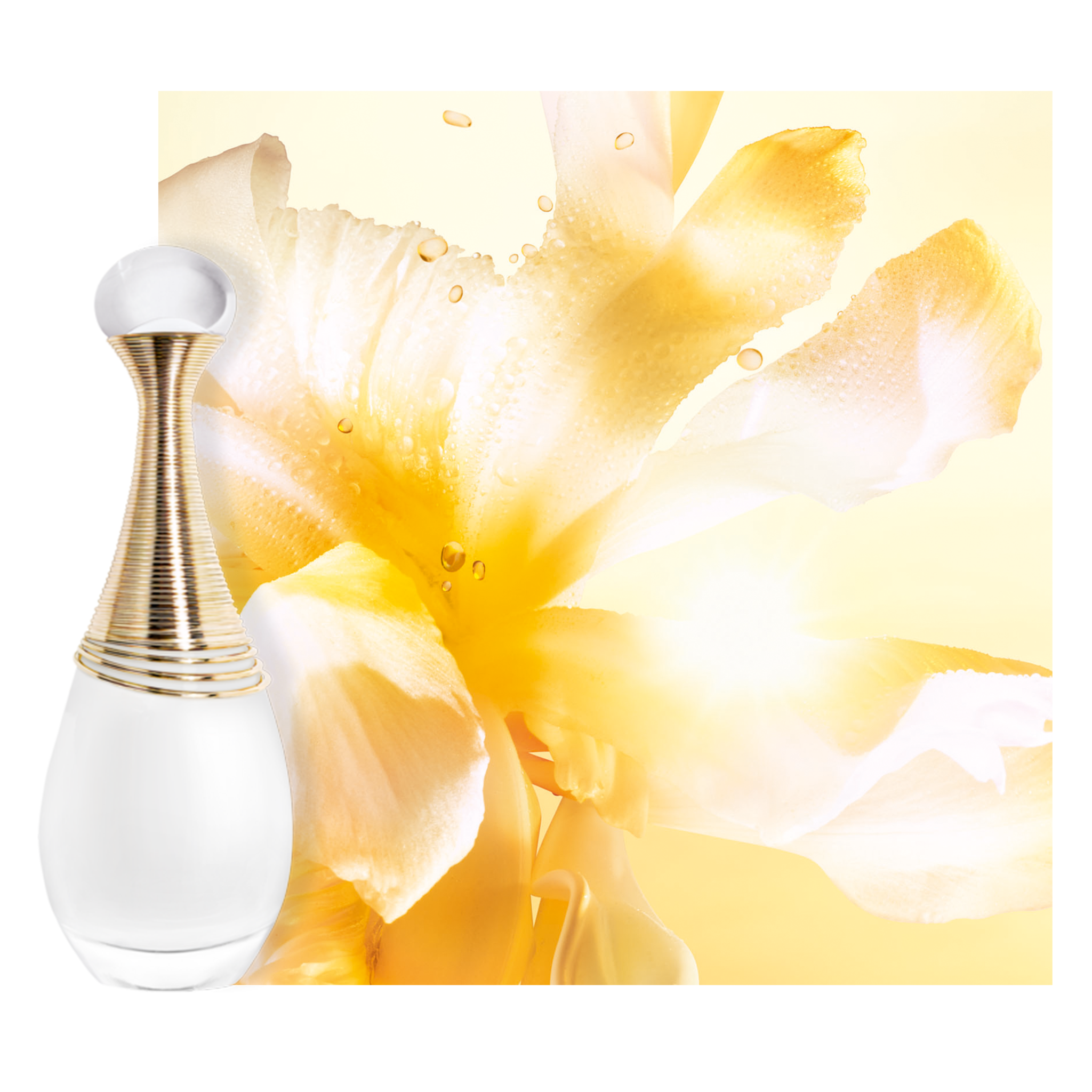 Imagine implicită pentru cms