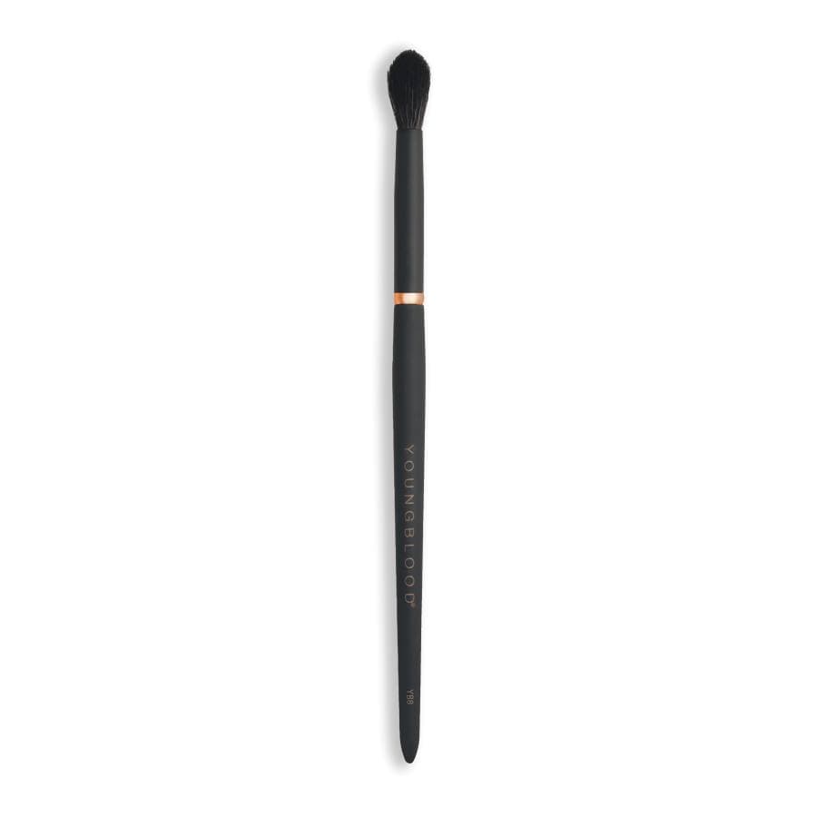 YB8 Tapered Blending Brush