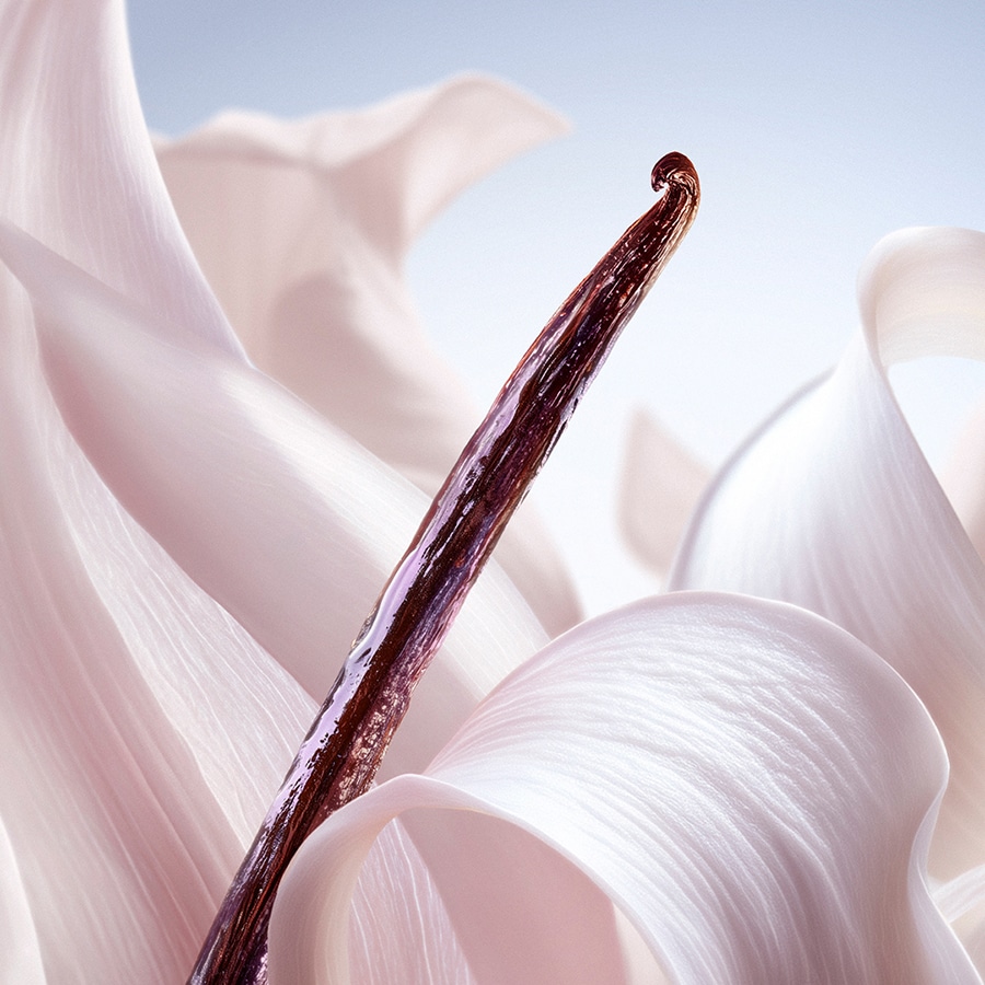 La Vie Est Belle Vanille Nude Hair & Body Mist