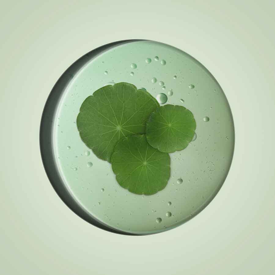 AquasourceCica Nutri Cream