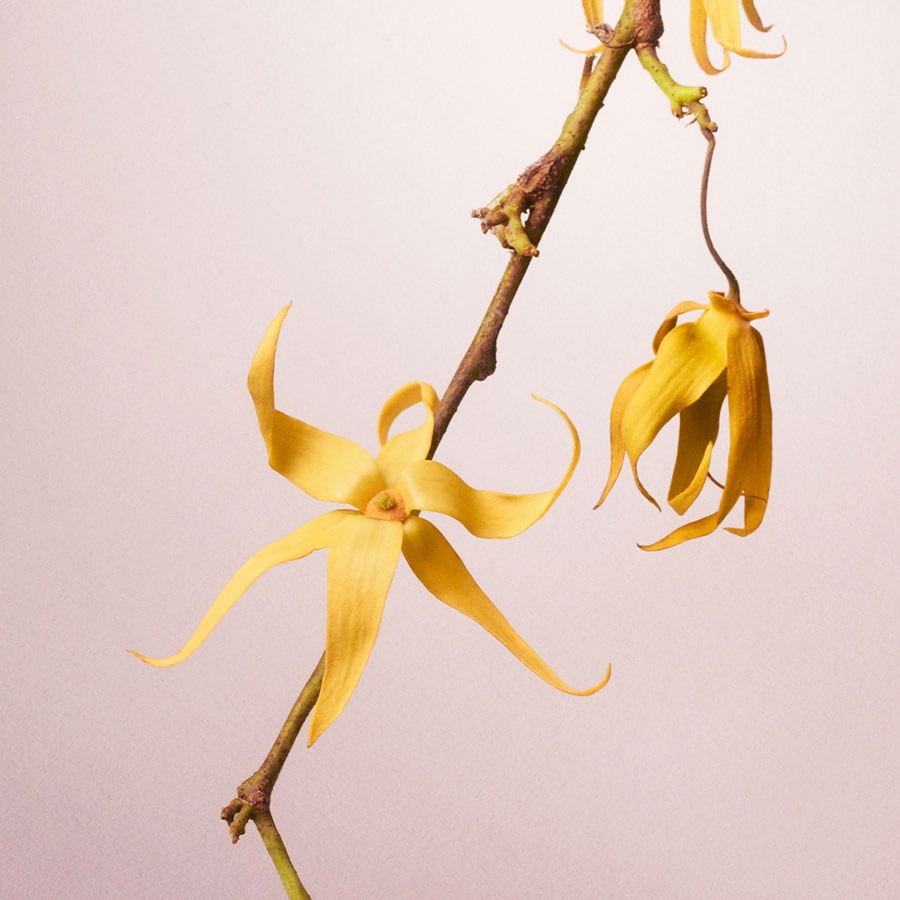 Invisible Touch Eau de Parfum