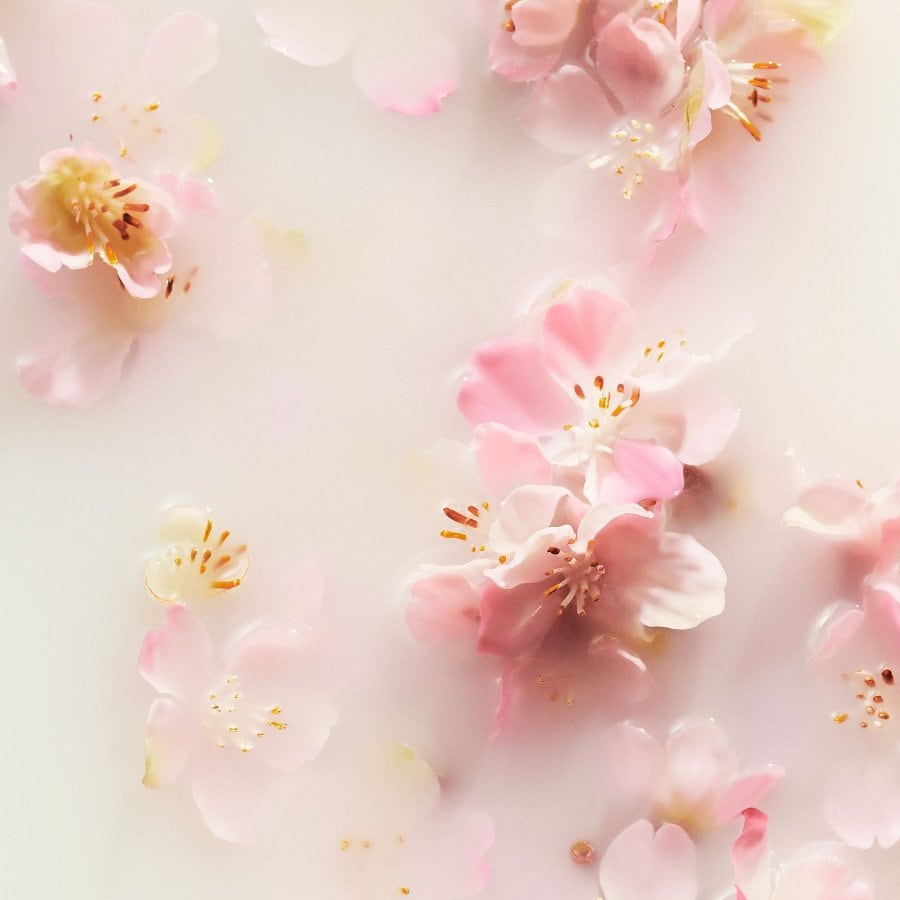 The Ritual of Sakura Hair & Body Mist