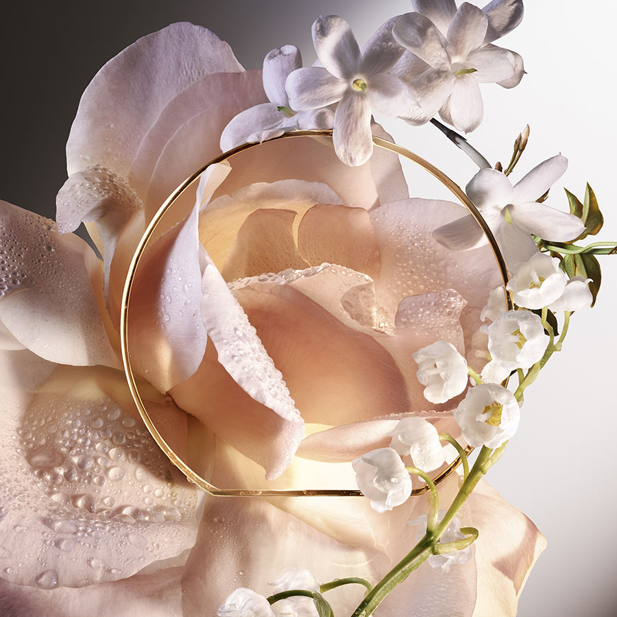 Absolue Les Parfum 6 AM Rose Eau de Parfum