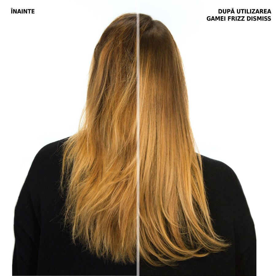 Frizz Dismiss Shampoo