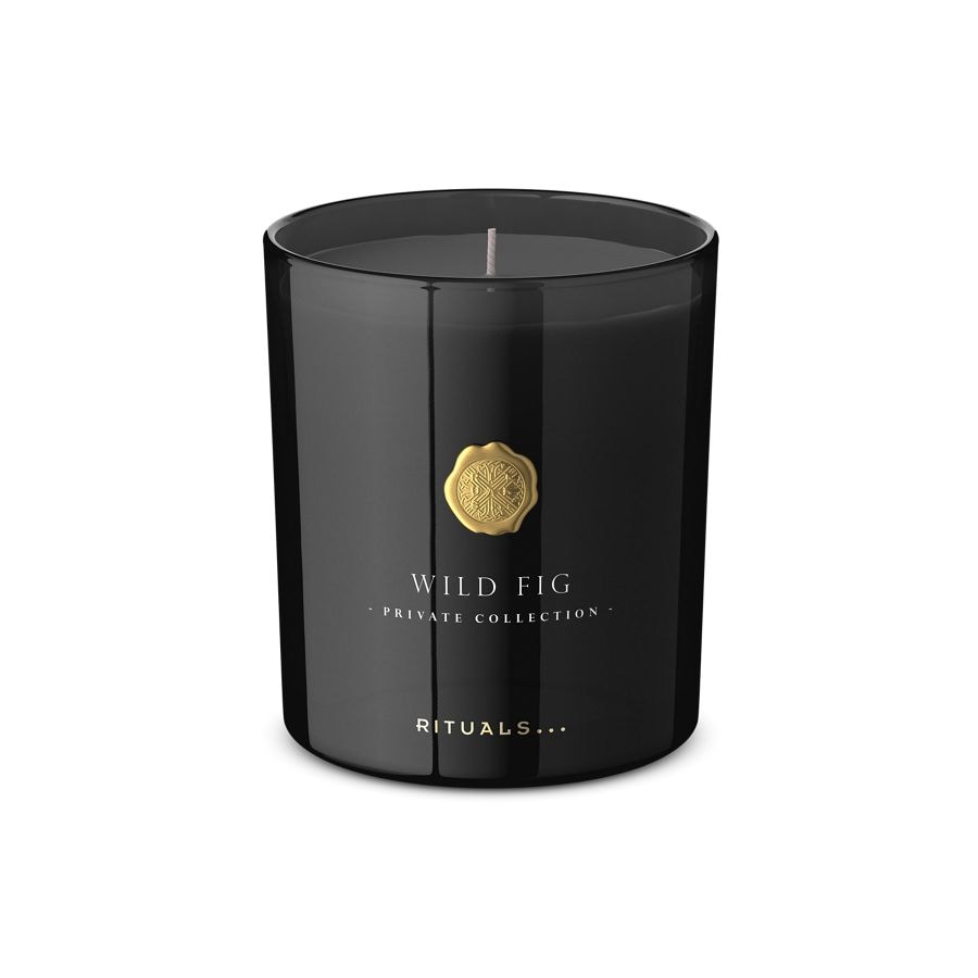 Wild Fig Scented Candle