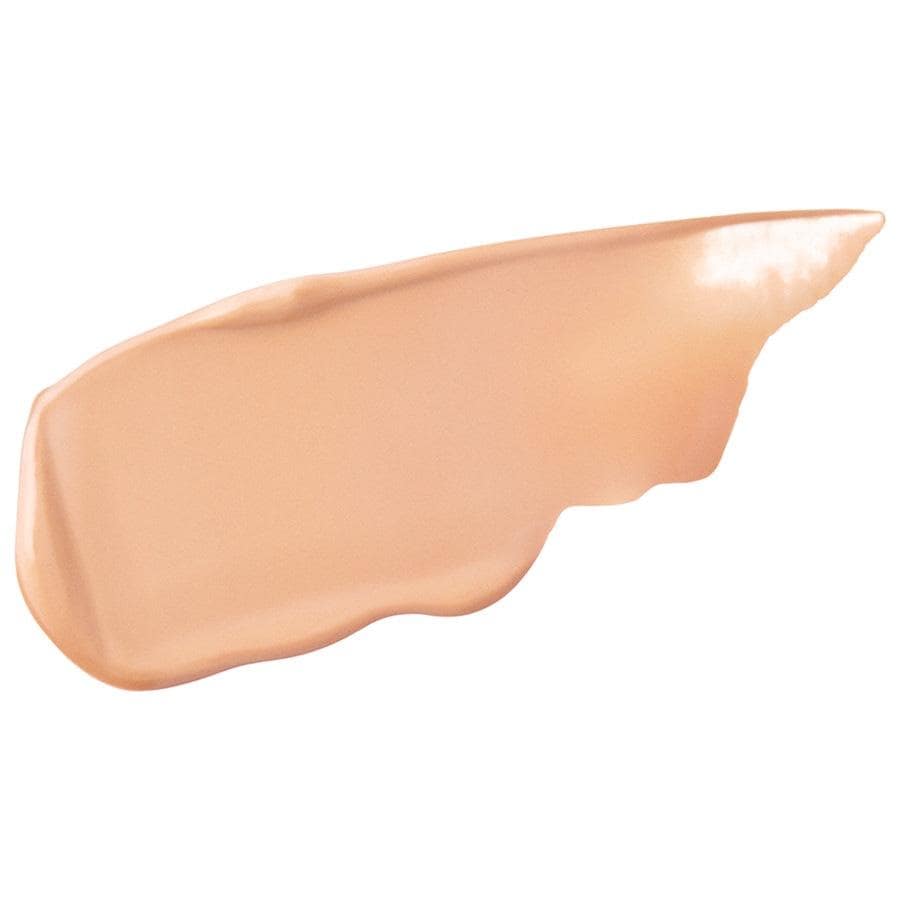 Tinted Moisturizer Natural Skin Perfector