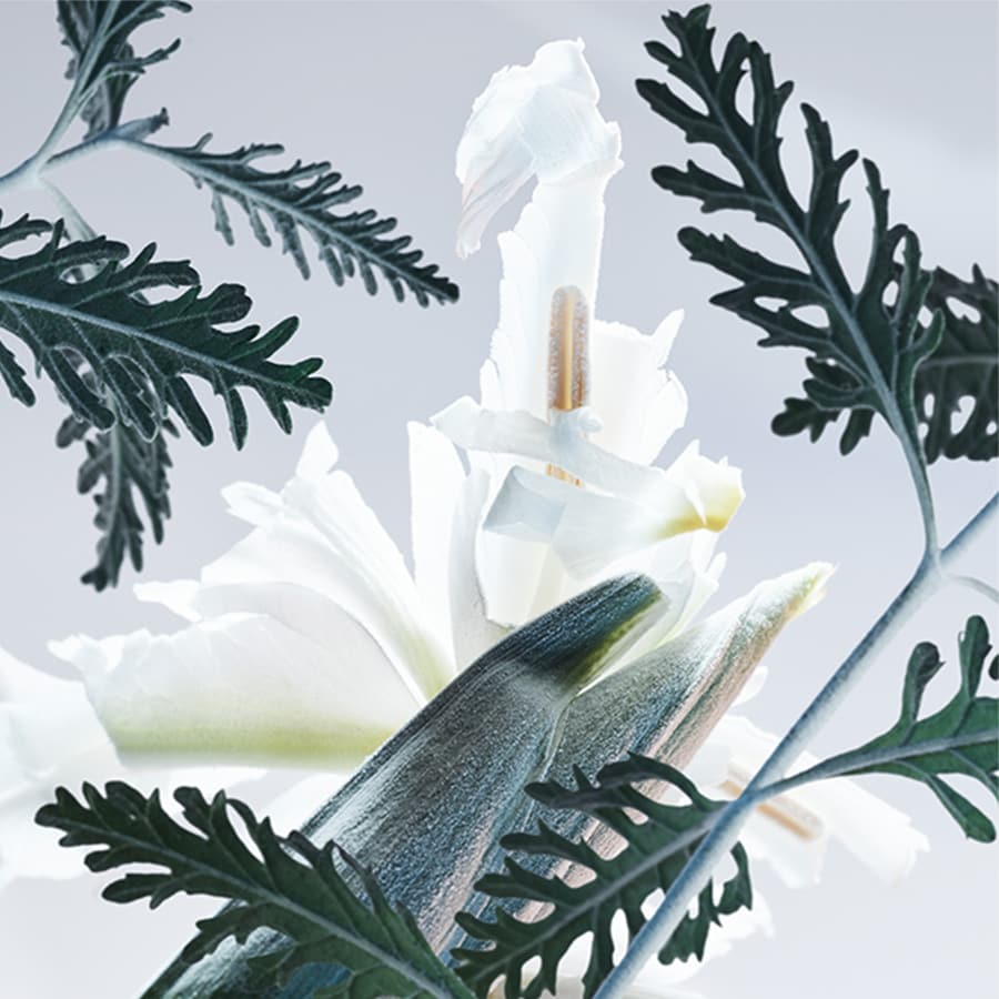 Man Glacial Essence Eau de Parfum