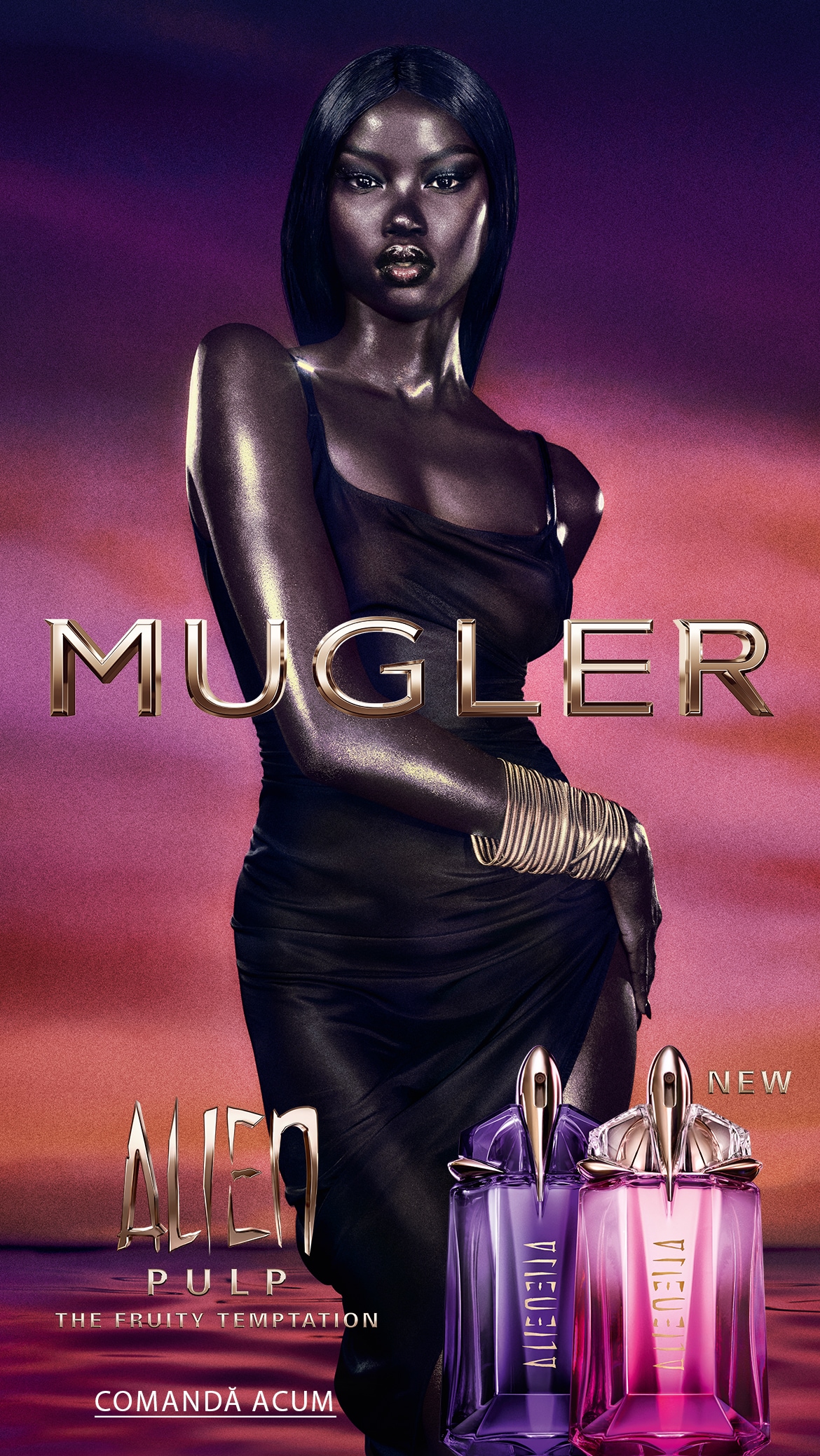 Glisor de imagine implicit pentru cms