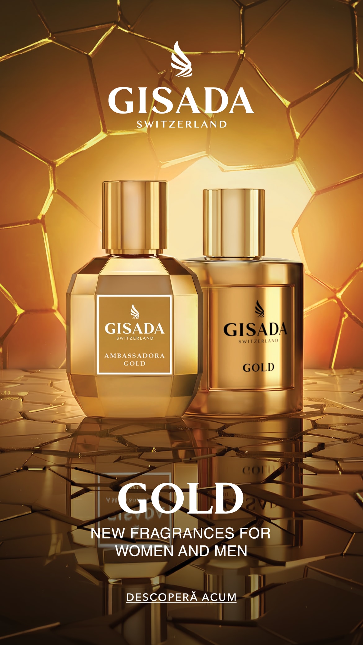 Glisor de imagine implicit pentru cms