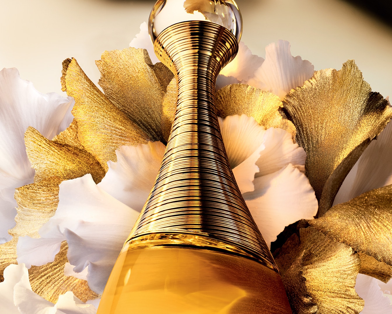 Imagine implicită pentru cms