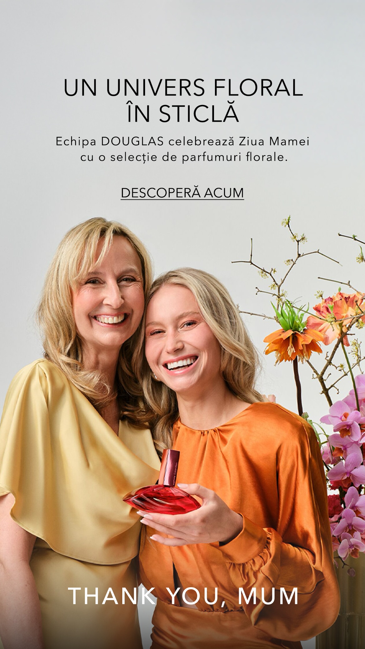 Glisor de imagine implicit pentru cms