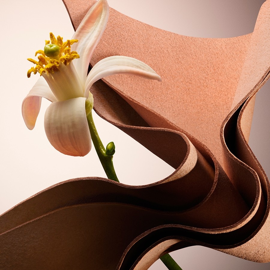 Boss The Scent Le For Him Parfum