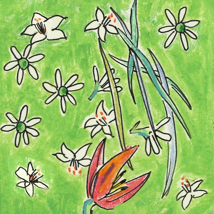 Daisy Wild Eau de Parfum