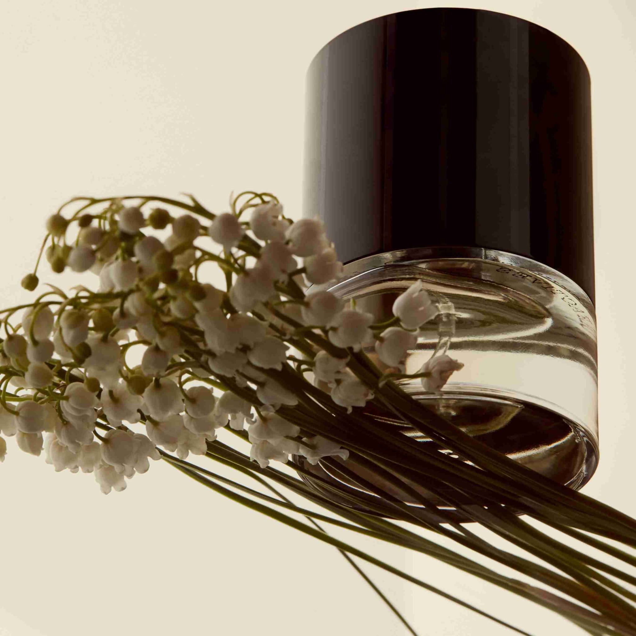 Musk & Amber Facet 702 Eau de Parfum