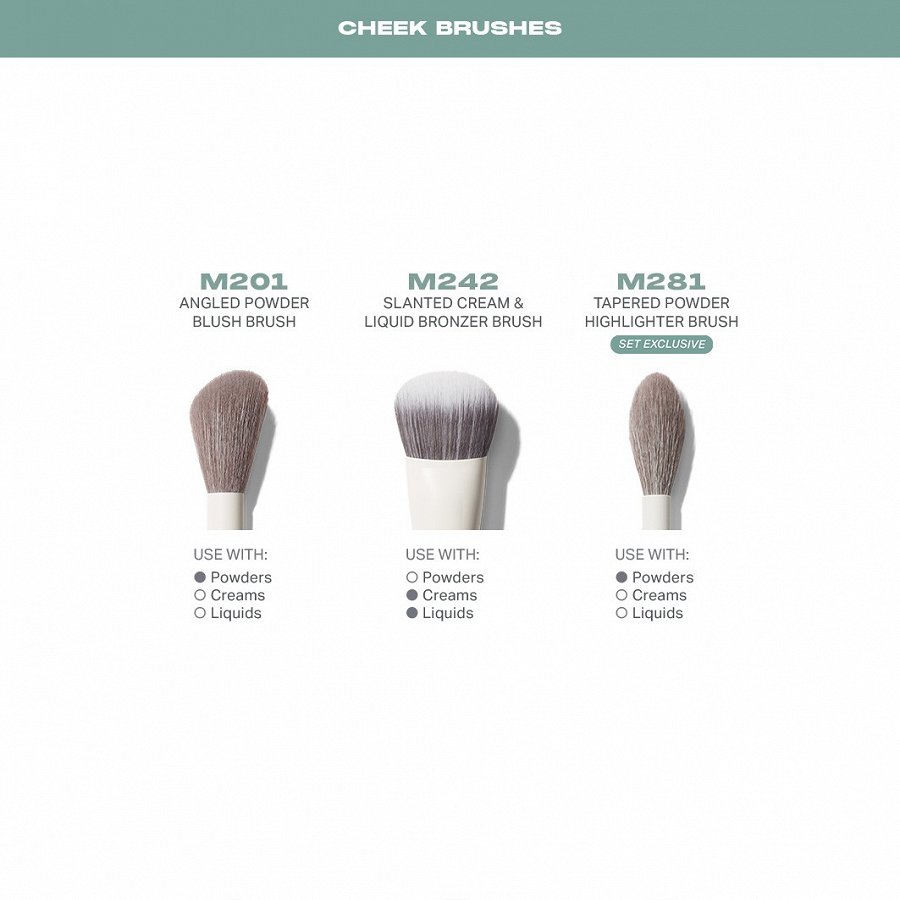 Face Brushes Gift Set