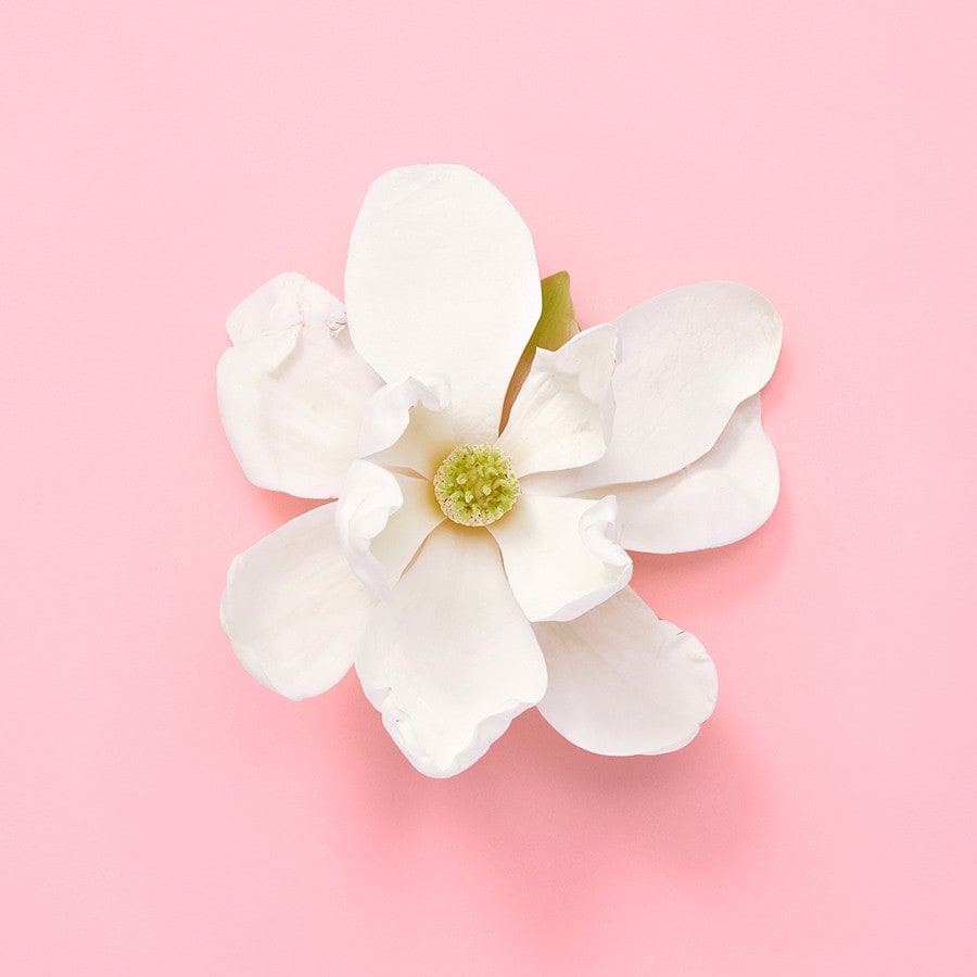 Flora Jasmine Eau de Parfum