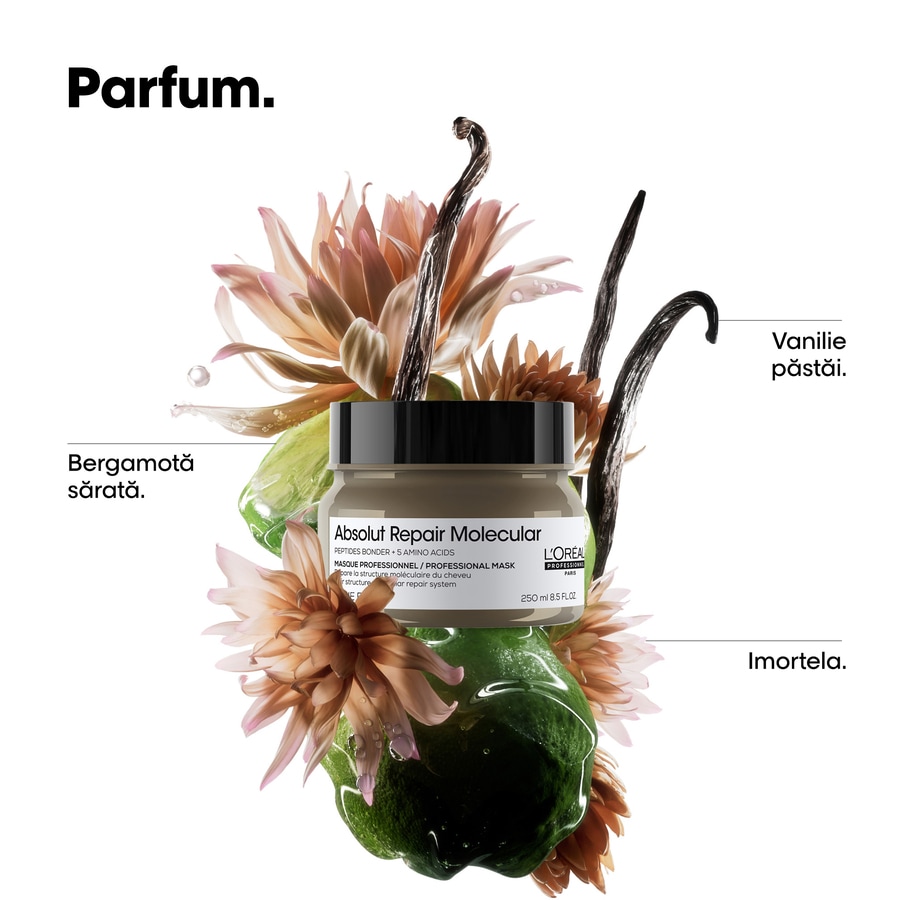 Absolut Repair Molecular Mask