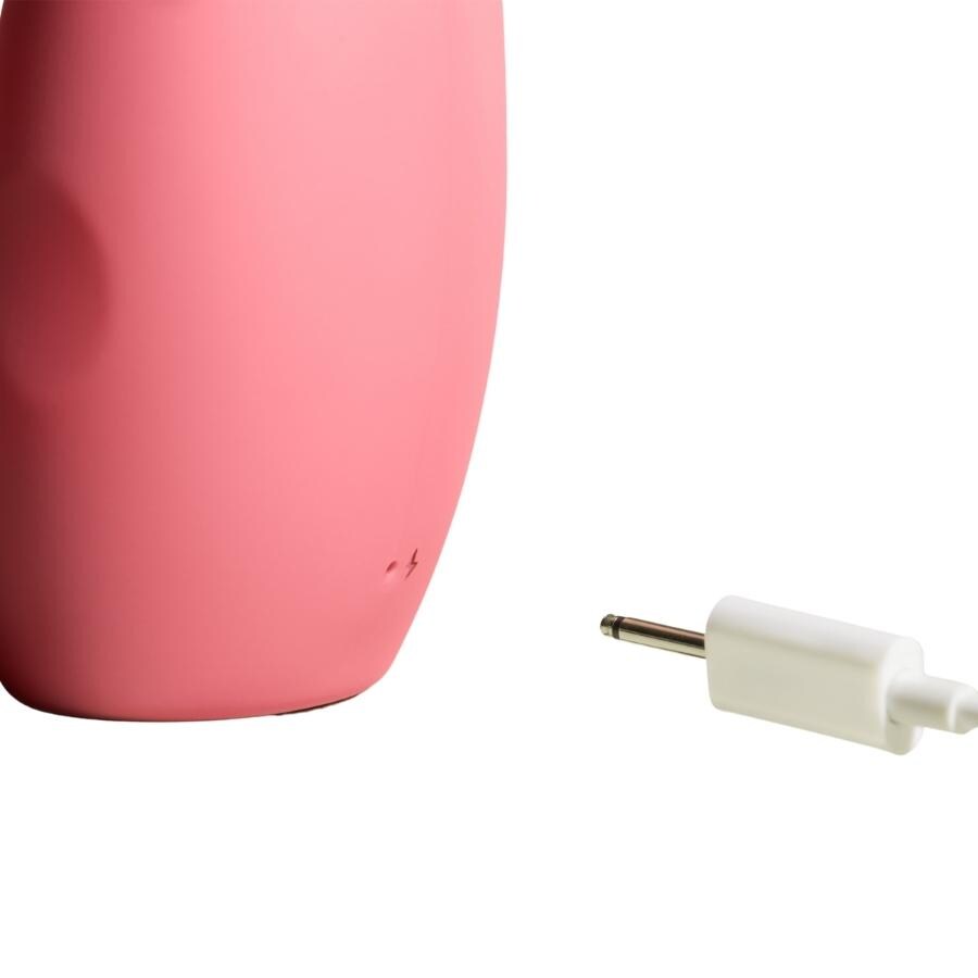 The Artist Clitoral & G-spot Vibrator