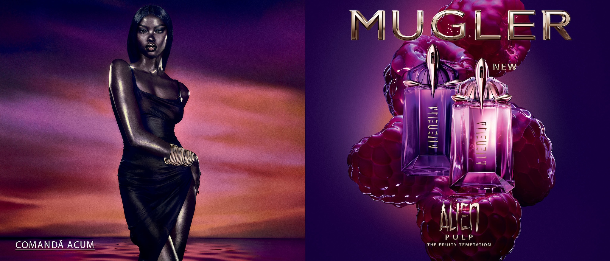 Glisor de imagine implicit pentru cms