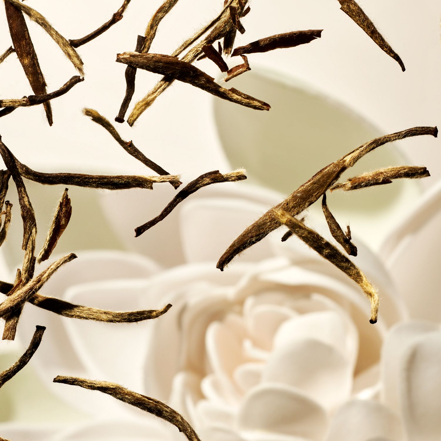 Karma Easter Gift Set