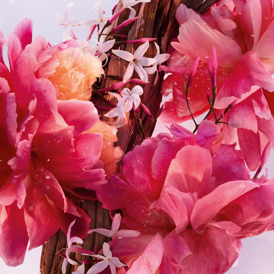 Miss Dior Parfum Mini Miss