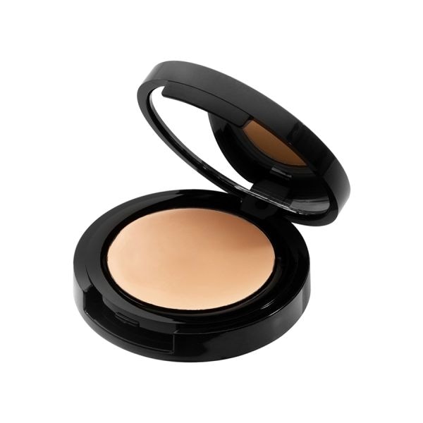 Radiant  Professional High Coverage Creamy Concealer Ivory Concealer 3 g